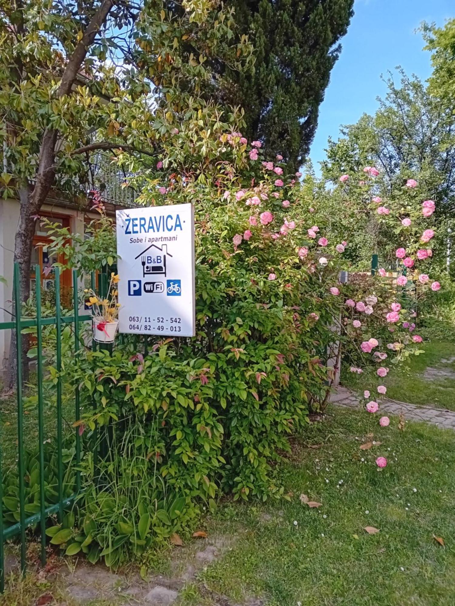 Zeravica Rooms B&B Sremski Karlovci Bagian luar foto